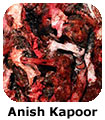 Anish Kapoor